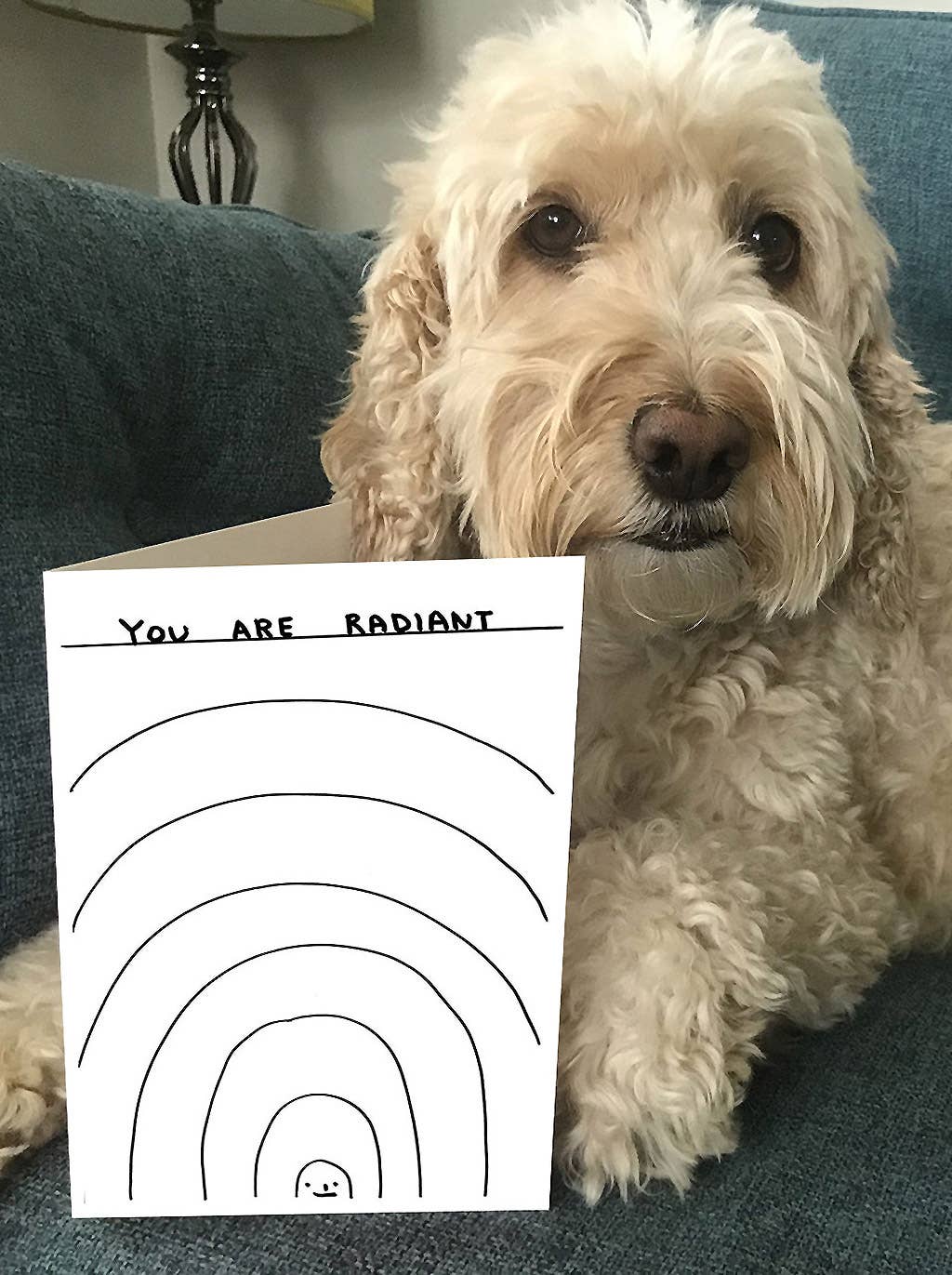 Funny David Shrigley Greetings Card - You Are Radiant