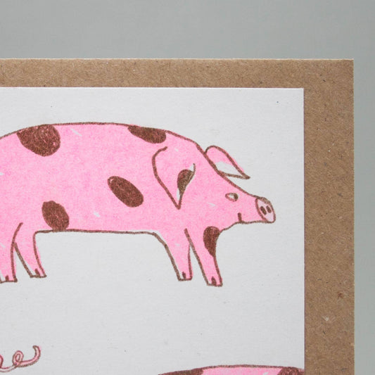 Pigs | Risograph Printed | Animal & Farm card