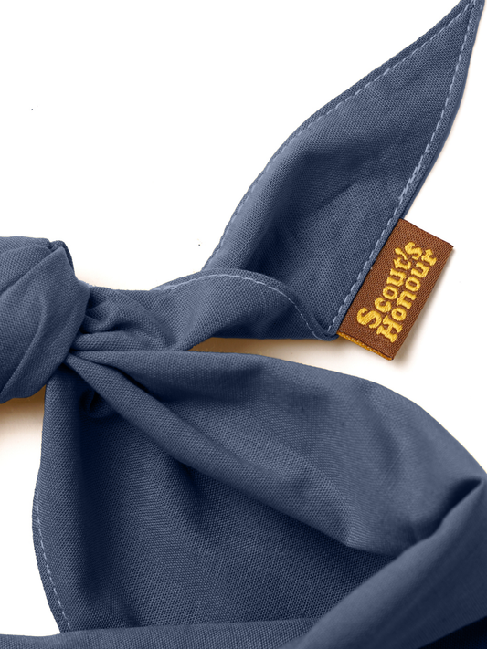 Navy Scout Bandana for dogs