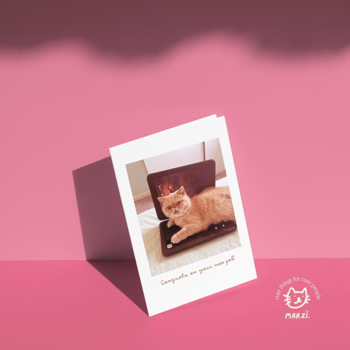 Congrats On Your New Job Cat Greeting Card