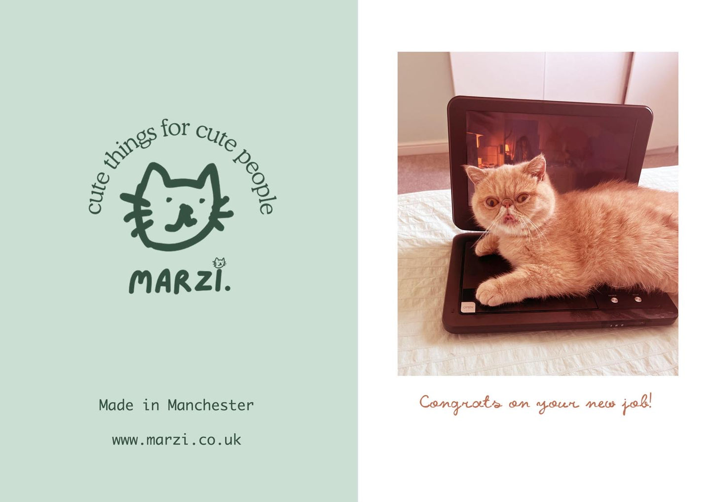 Congrats On Your New Job Cat Greeting Card