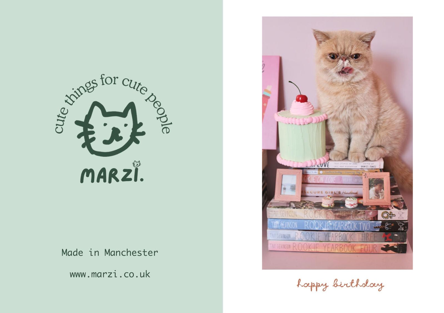 Happy Birthday Cat Greeting Card