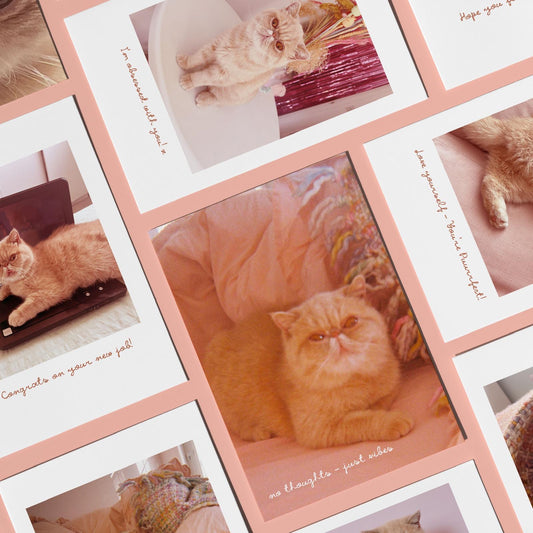 No Thoughts Just Vibes Cat Greeting Card