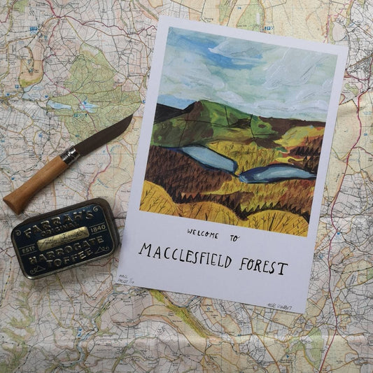 Macclesfield Forest Print