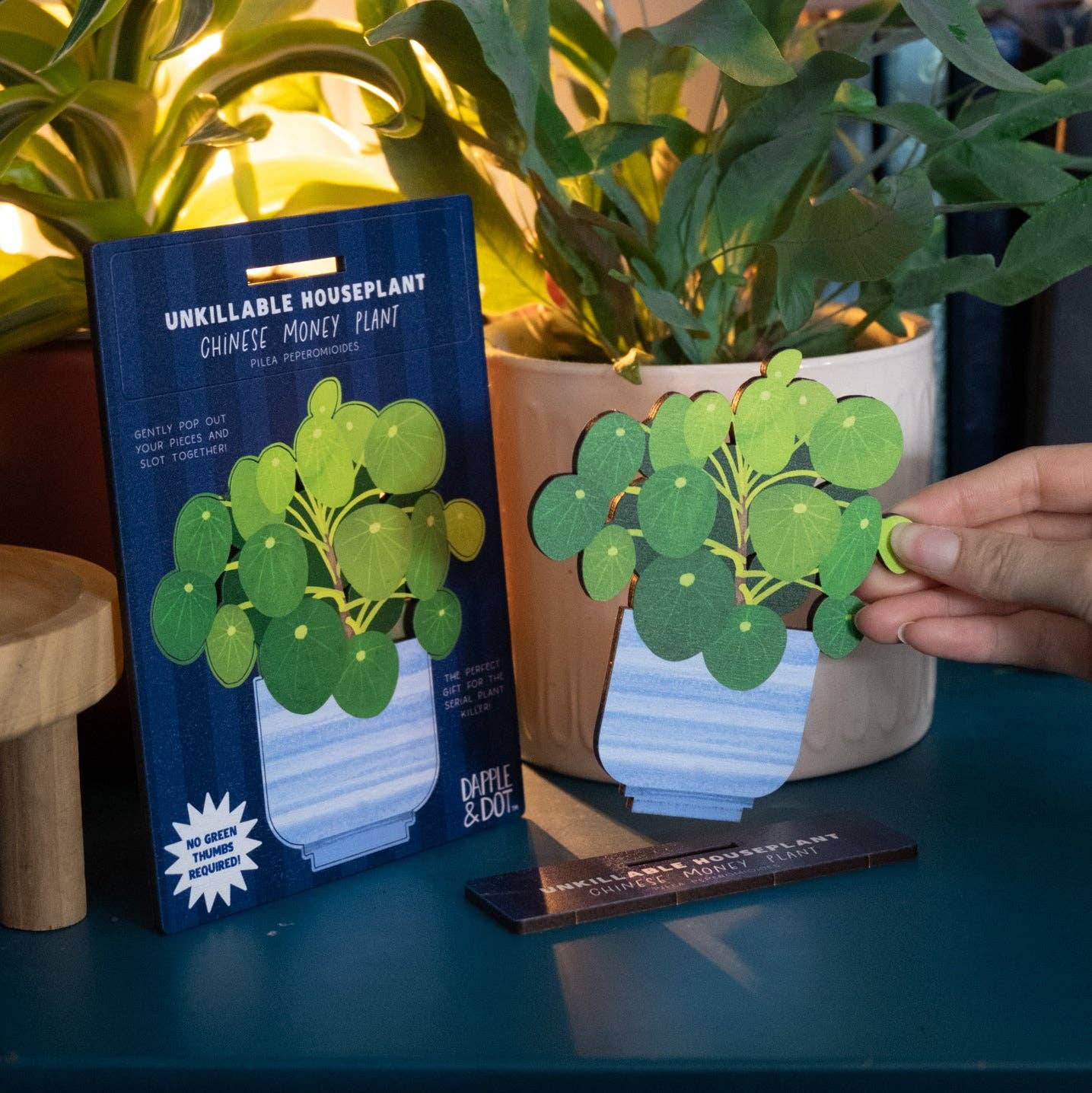 UNKILLABLE CHINESE MONEY PLANT POP OUT CARD