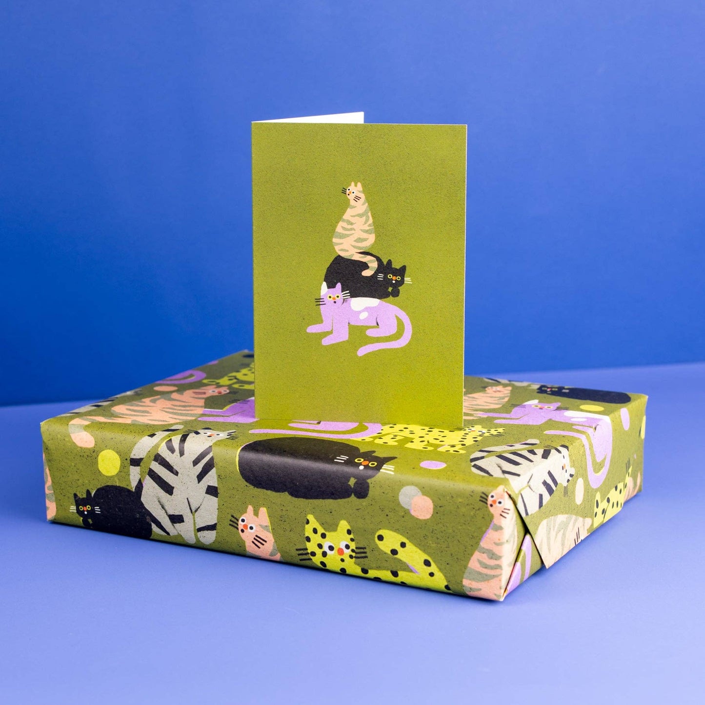 Surprised Cats Greetings Card
