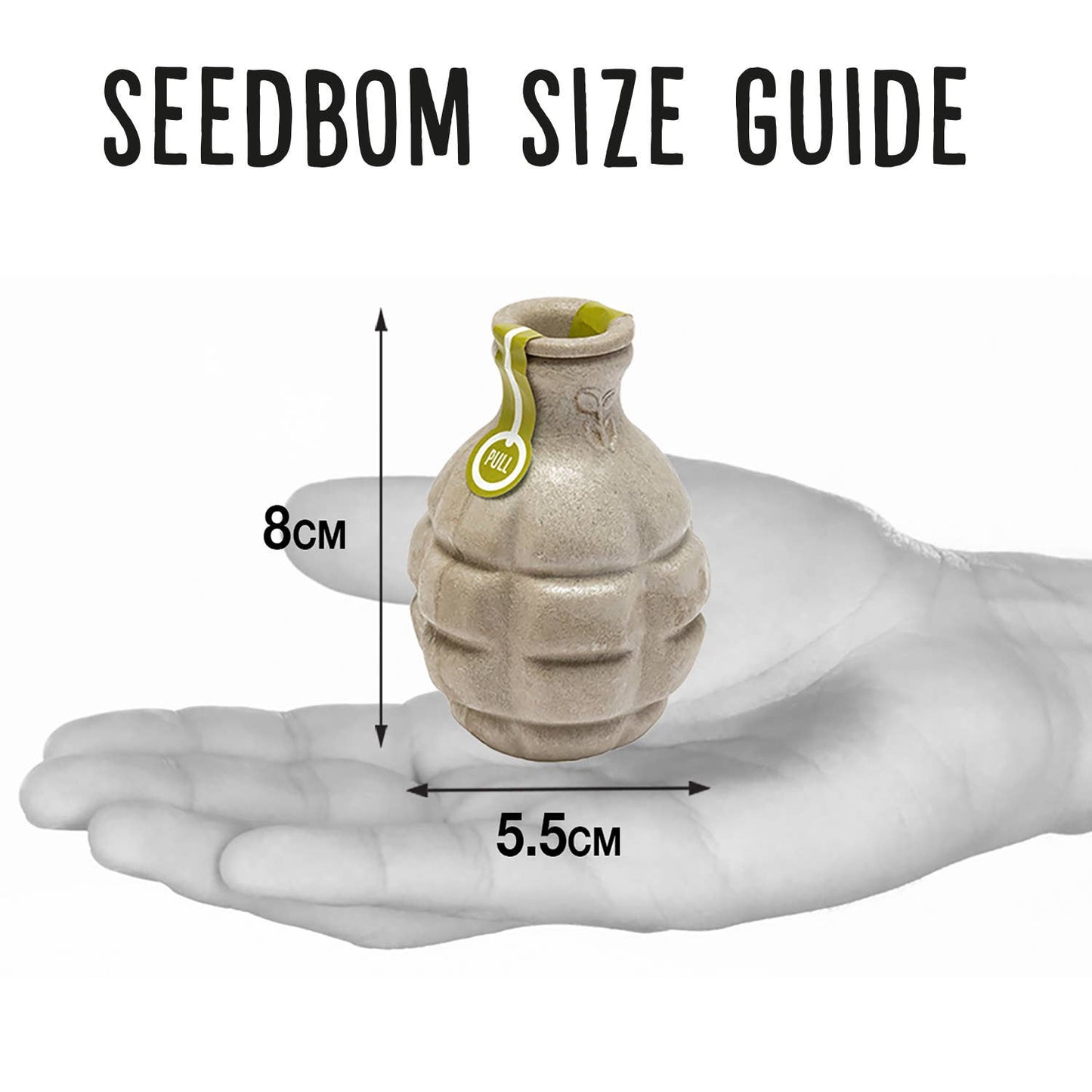 Rainbowbom Seedbom - Bee Wildflower Kit