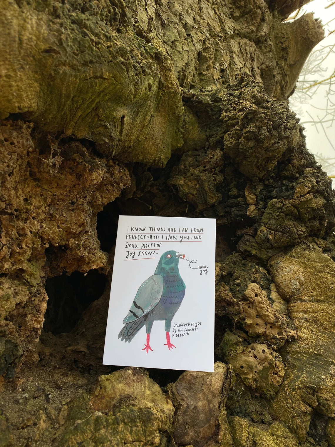 I know things are far from perfect - Pigeon thinking of you card by Fernandes Makes