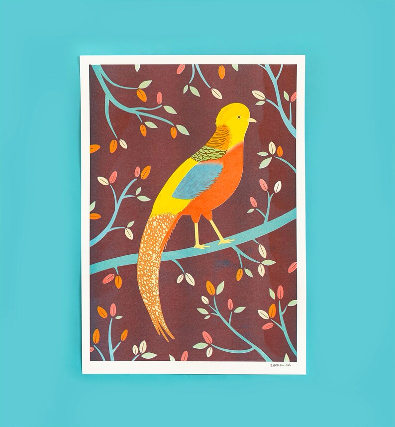 Golden Pheasant Risograph Print by Tom Hardwick
