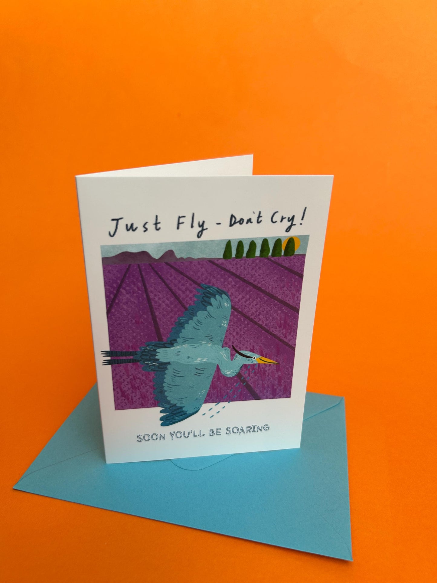 Just Fly - Don't Cry Greeting Card by Fernandes Makes