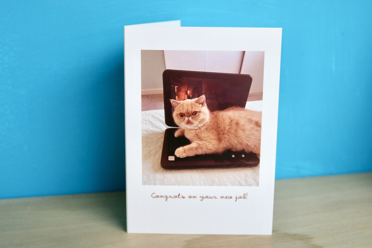Congrats On Your New Job Cat Greeting Card