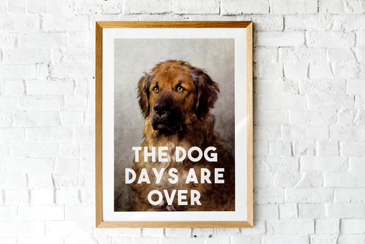 The Dog Days Are Over Art Print