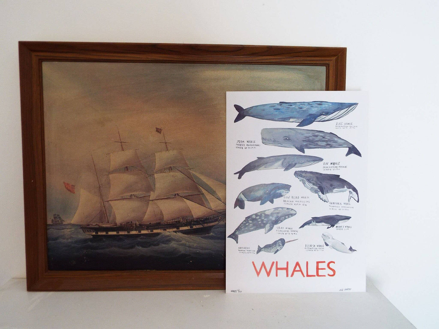 Whales by Dick Vincent - A3 Print