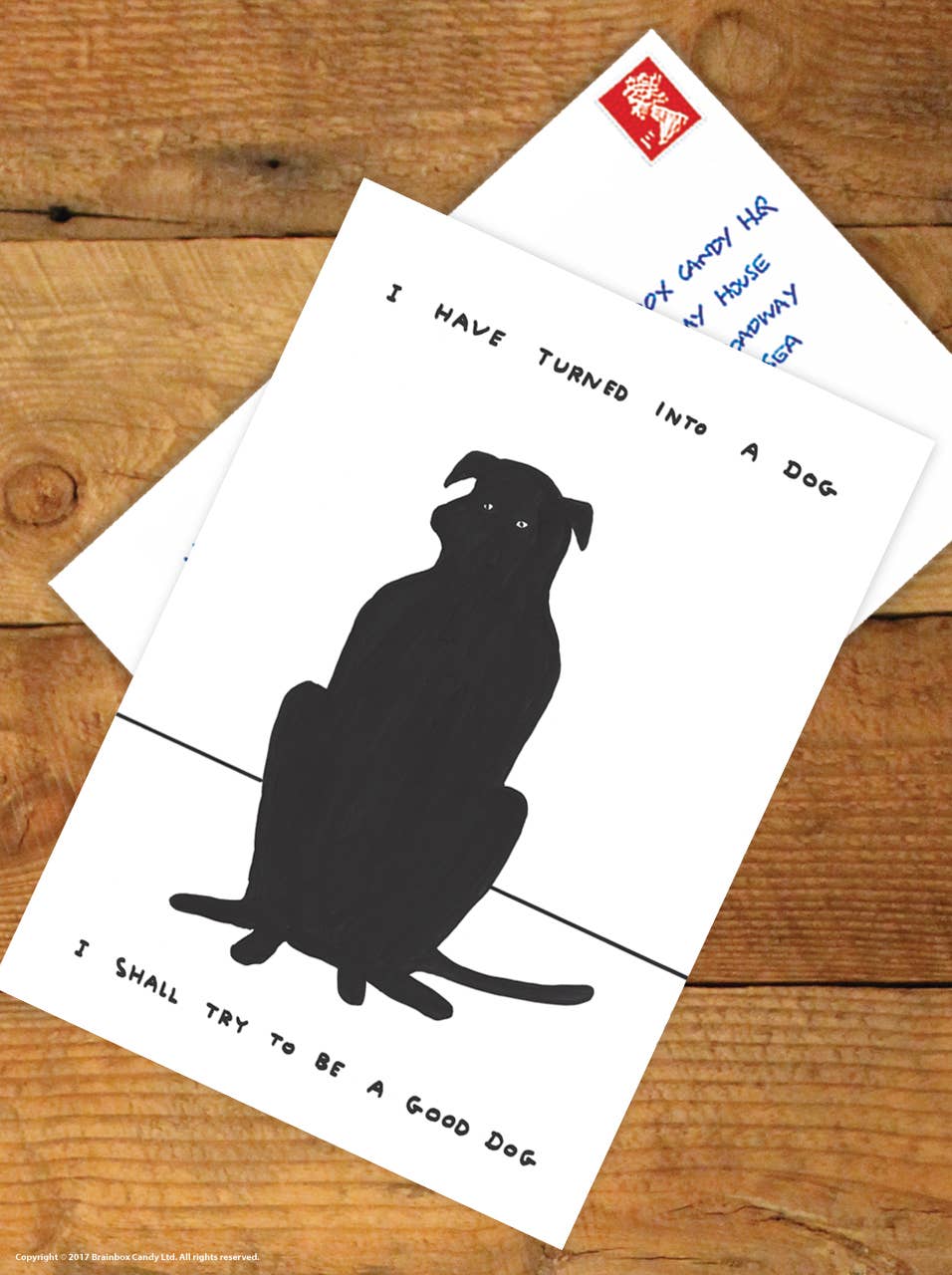 Turned Into A Dog - A6 Art Postcard By David Shrigley