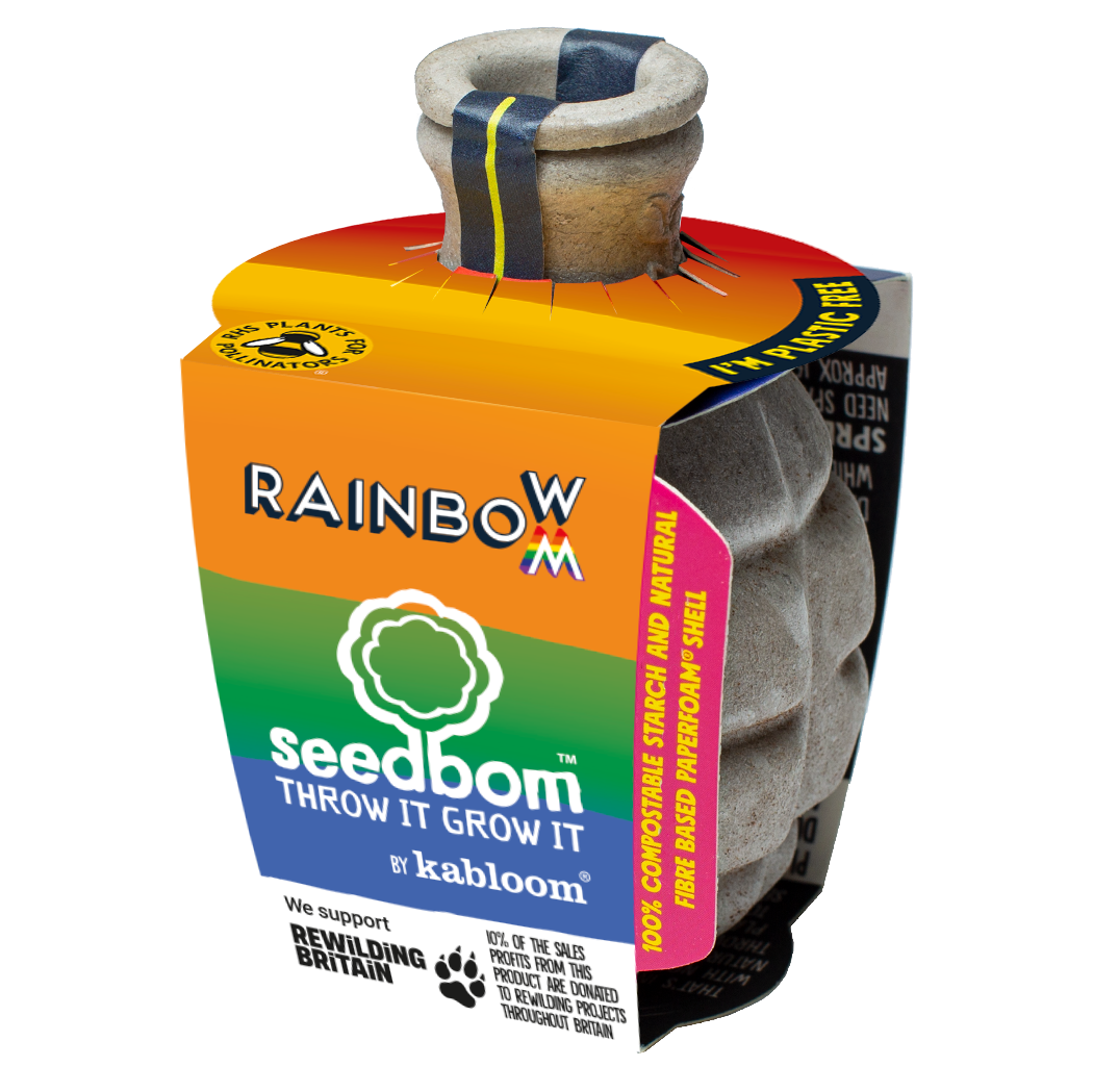 Rainbowbom Seedbom - Bee Wildflower Kit