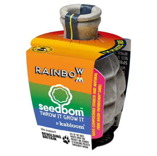 Rainbowbom Seedbom - Bee Wildflower Kit