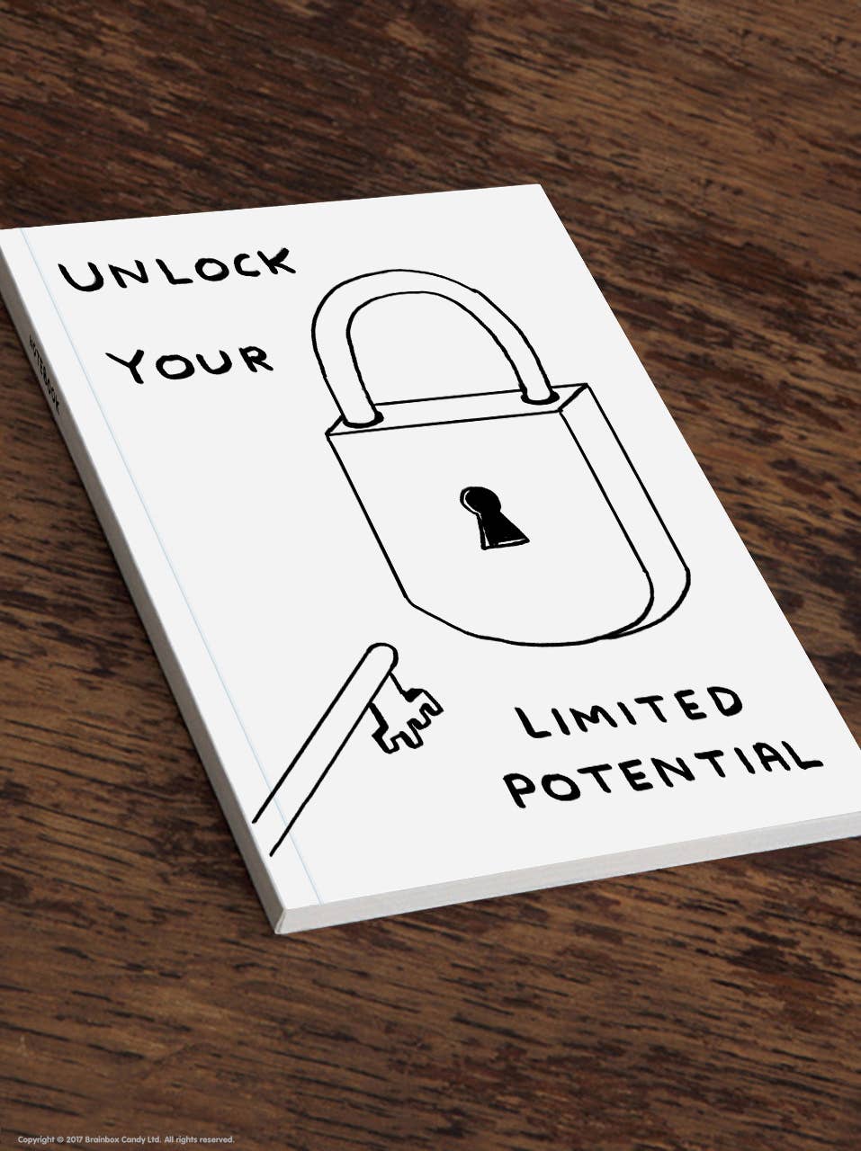 Limited Potential A5 Notebook