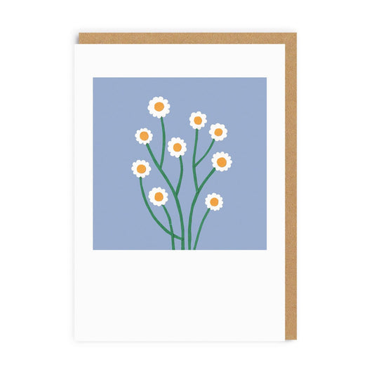 Dasies Greeting Card