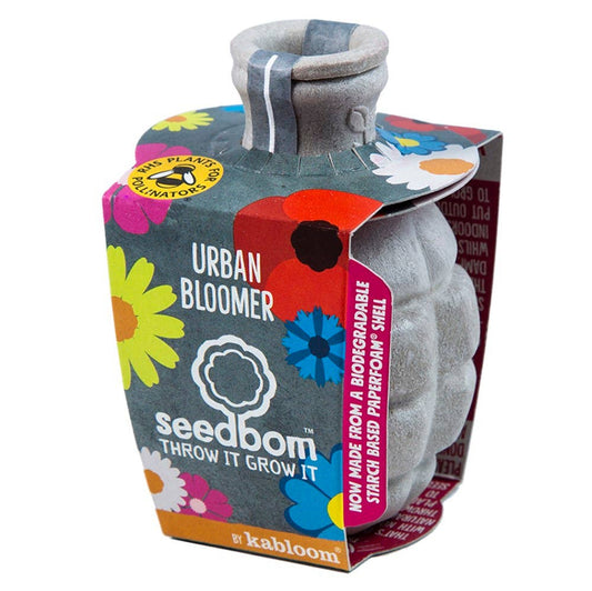 Urban Bloomer Seedbom - Wildflowers for Insects