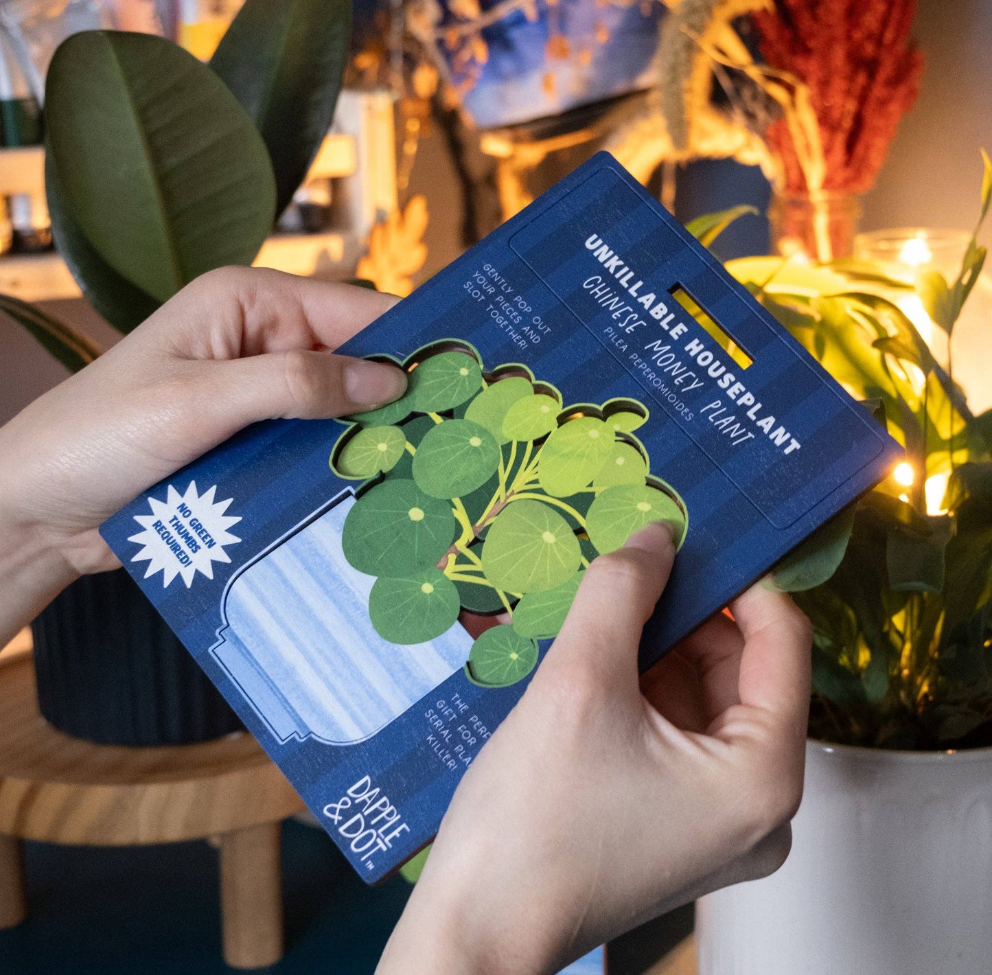 UNKILLABLE CHINESE MONEY PLANT POP OUT CARD