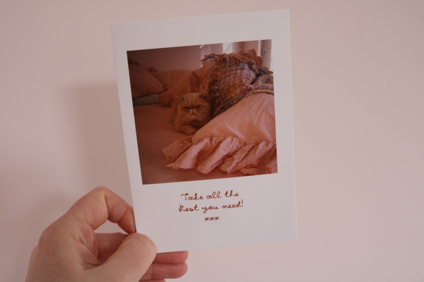Take All The Rest You Need Cat Greeting Card