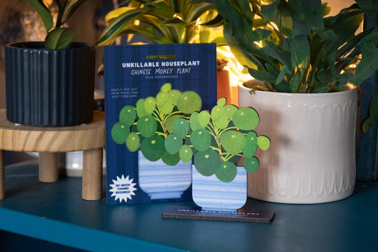 UNKILLABLE CHINESE MONEY PLANT POP OUT CARD