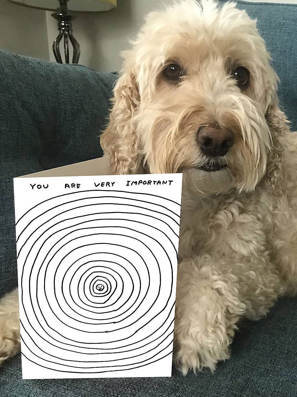 You Are Very Important - David Shrigley Card