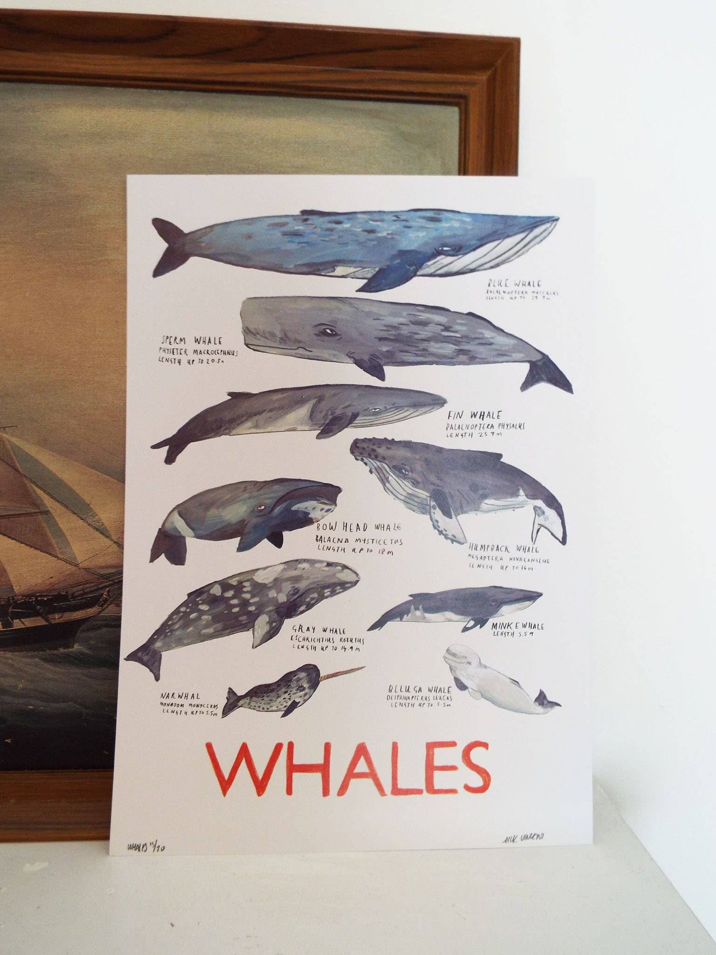 Whales by Dick Vincent - A3 Print