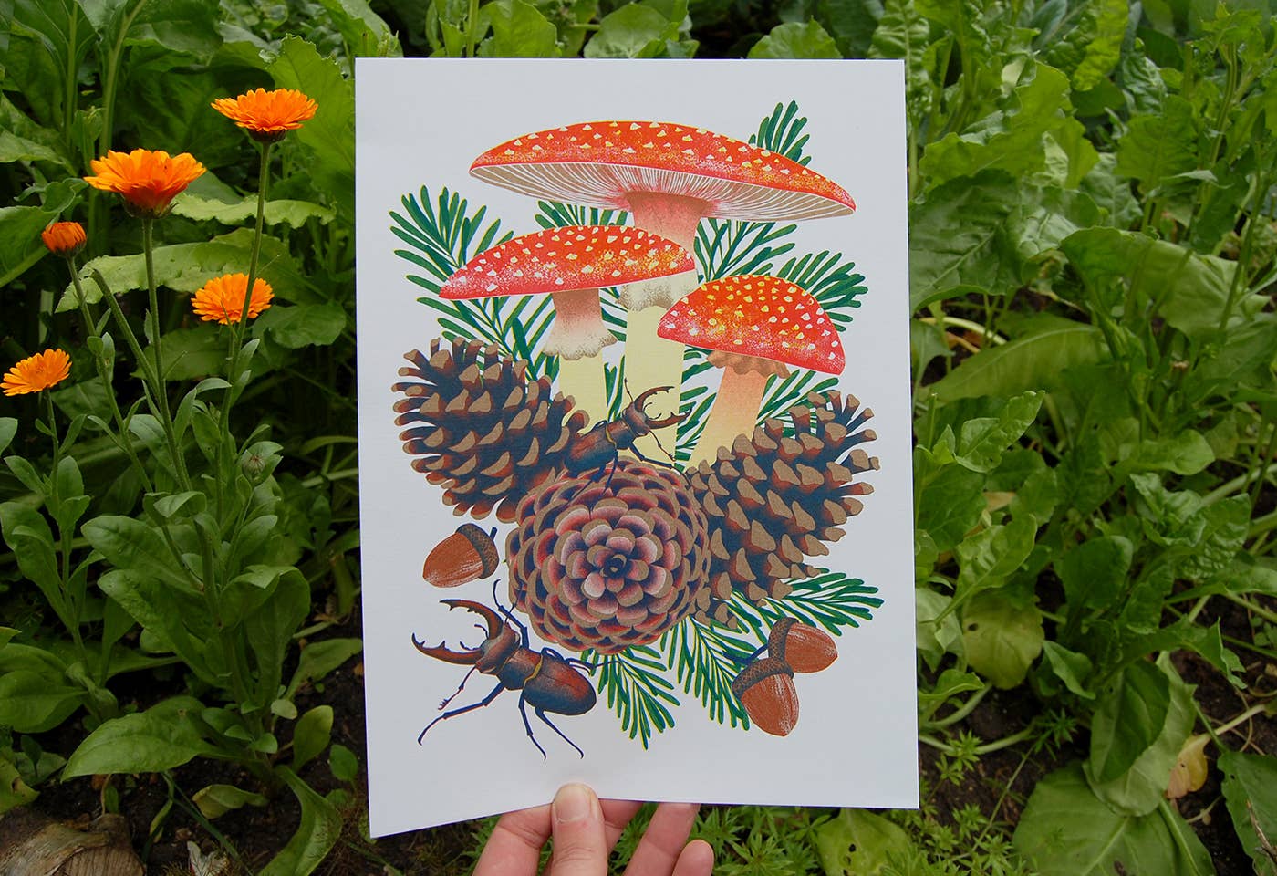 Fly Agaric - A4 Risograph Print by Printer Johnson