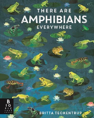 There Are Amphibians everywhere by Britta Teckentrup