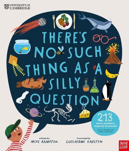 There's No Such Thing as a Silly Question: 213 Weird Questions, Expertly Answered! (Hardback)