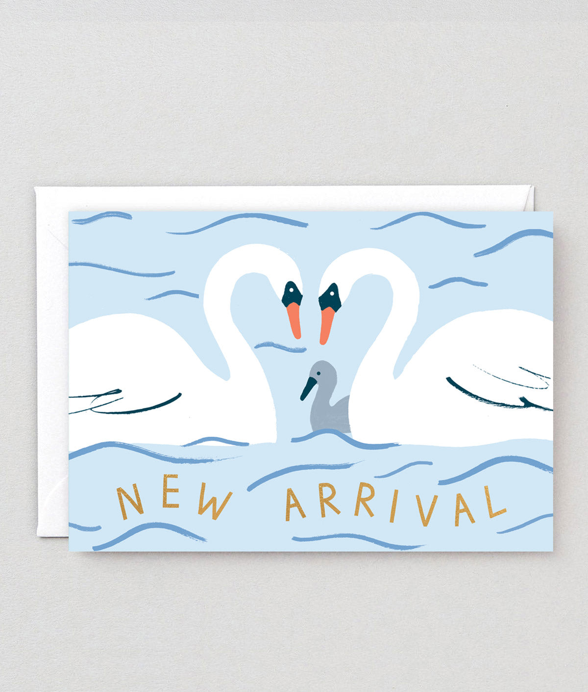 New Arrival Swans