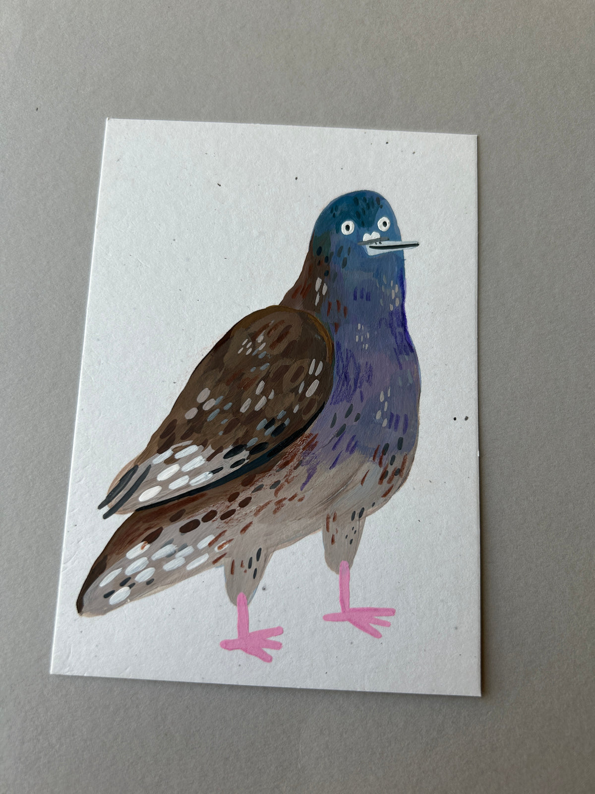 Pigeon Mini Prints A7