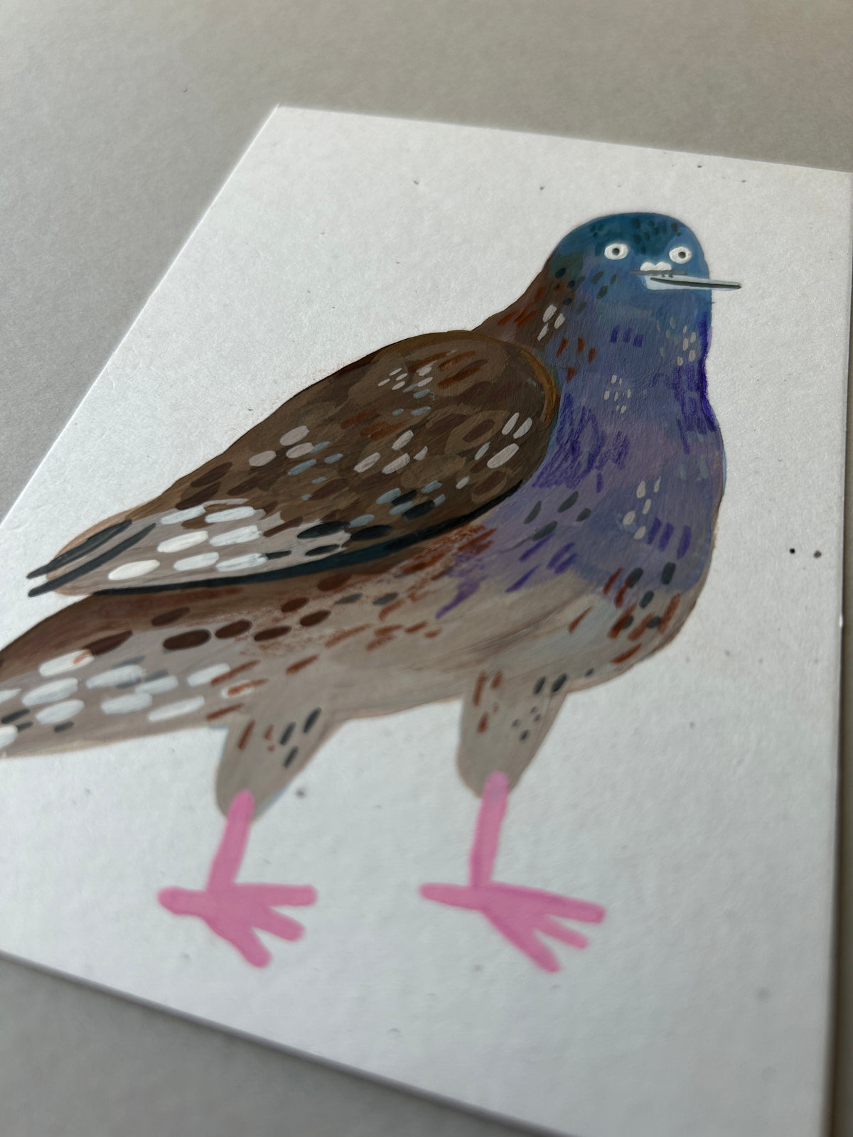 Pigeon Mini Prints A7
