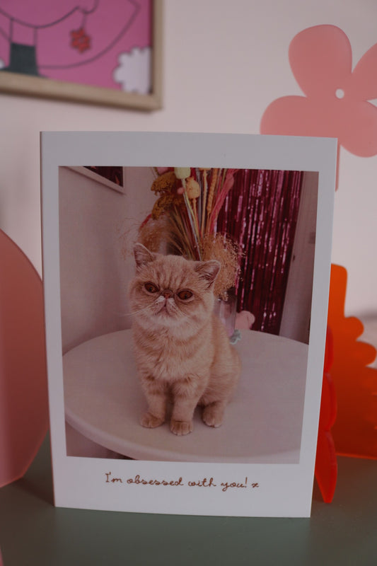 I Am Obsessed With You Cat Greeting Card