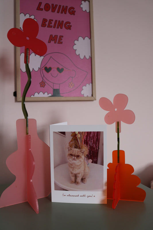 I Am Obsessed With You Cat Greeting Card