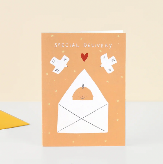 Special Delivery New Baby Card by Little Black Cat