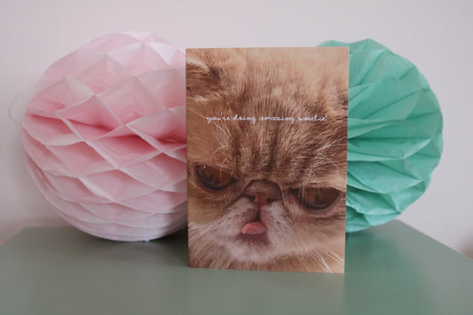 you're Doing Amazing Sweetie Cat A6 Greeting Card