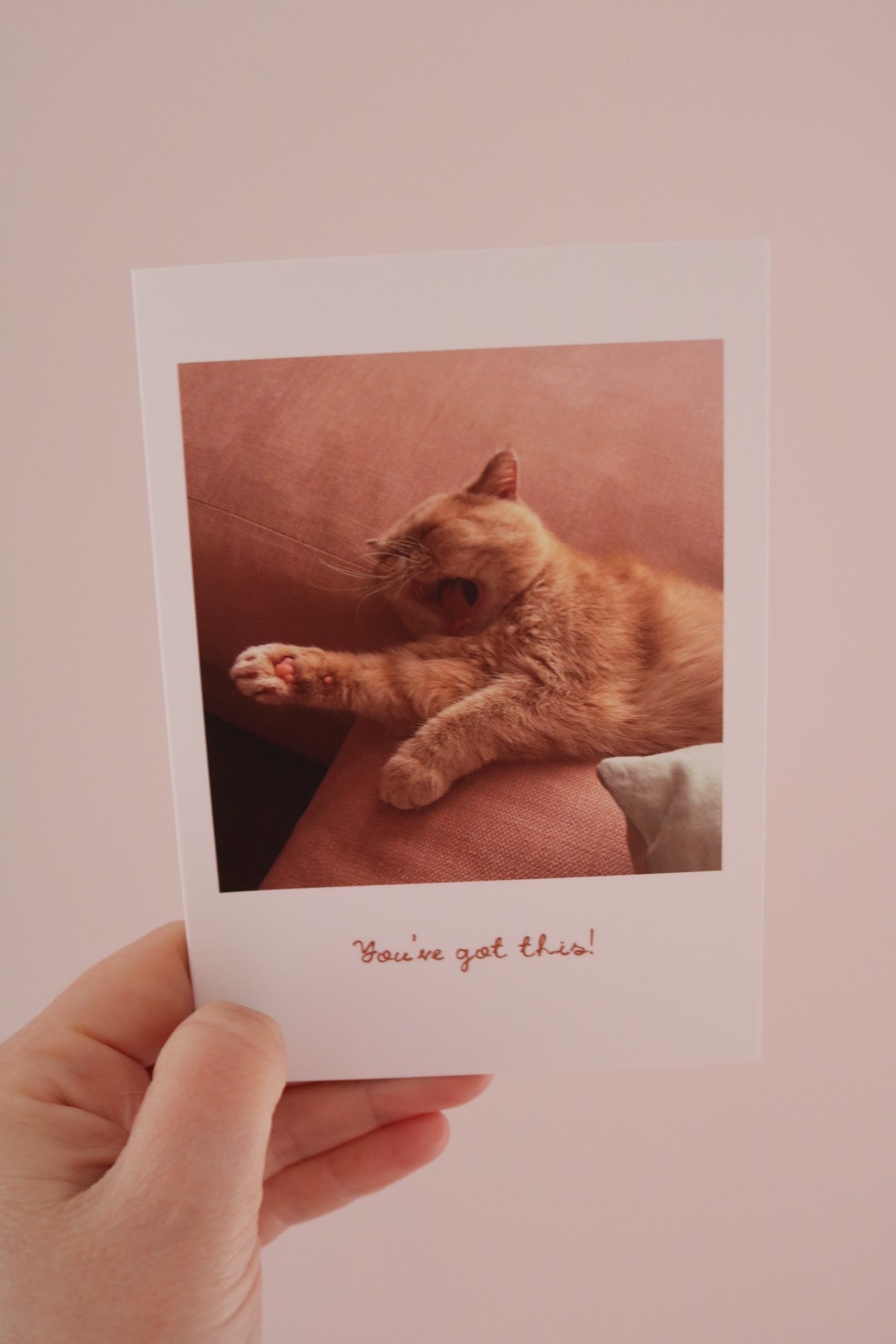 You've Got This Cat A6 Greeting Card