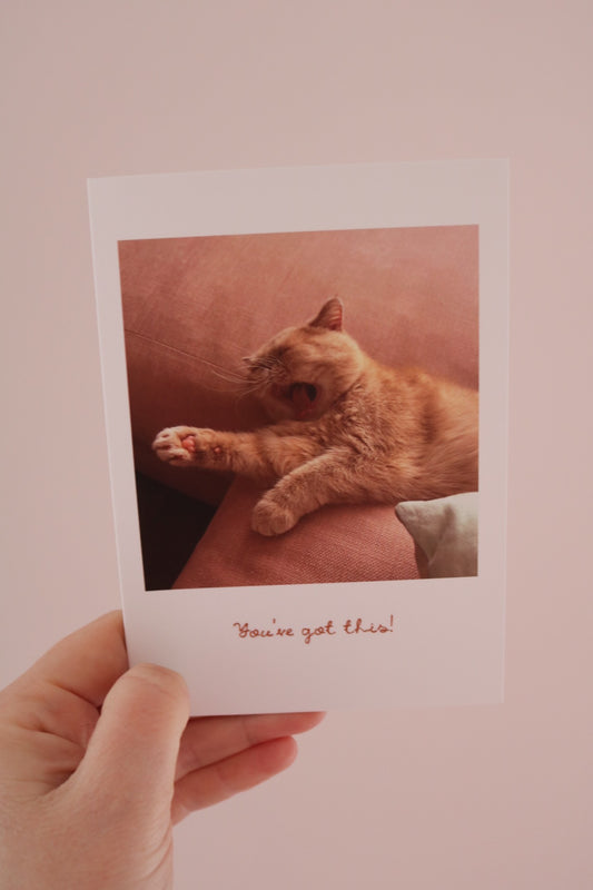 You've Got This Cat A6 Greeting Card