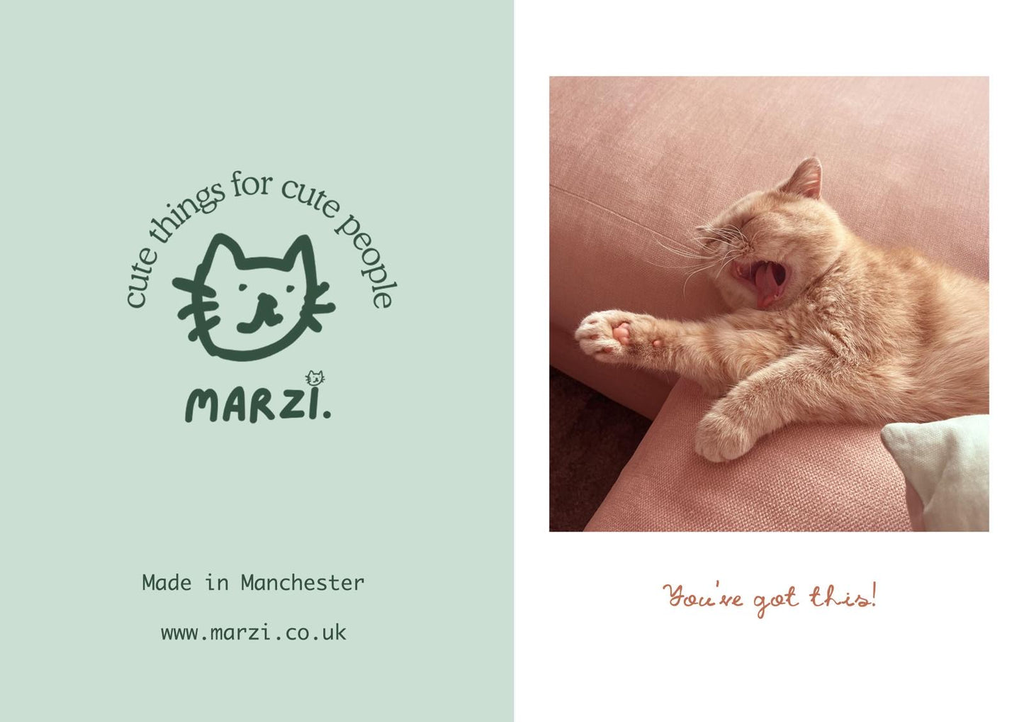 You've Got This Cat A6 Greeting Card