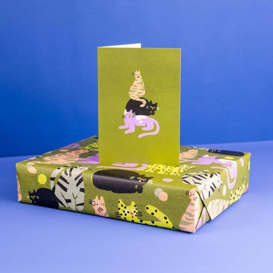 Surprised Cats Greetings Card