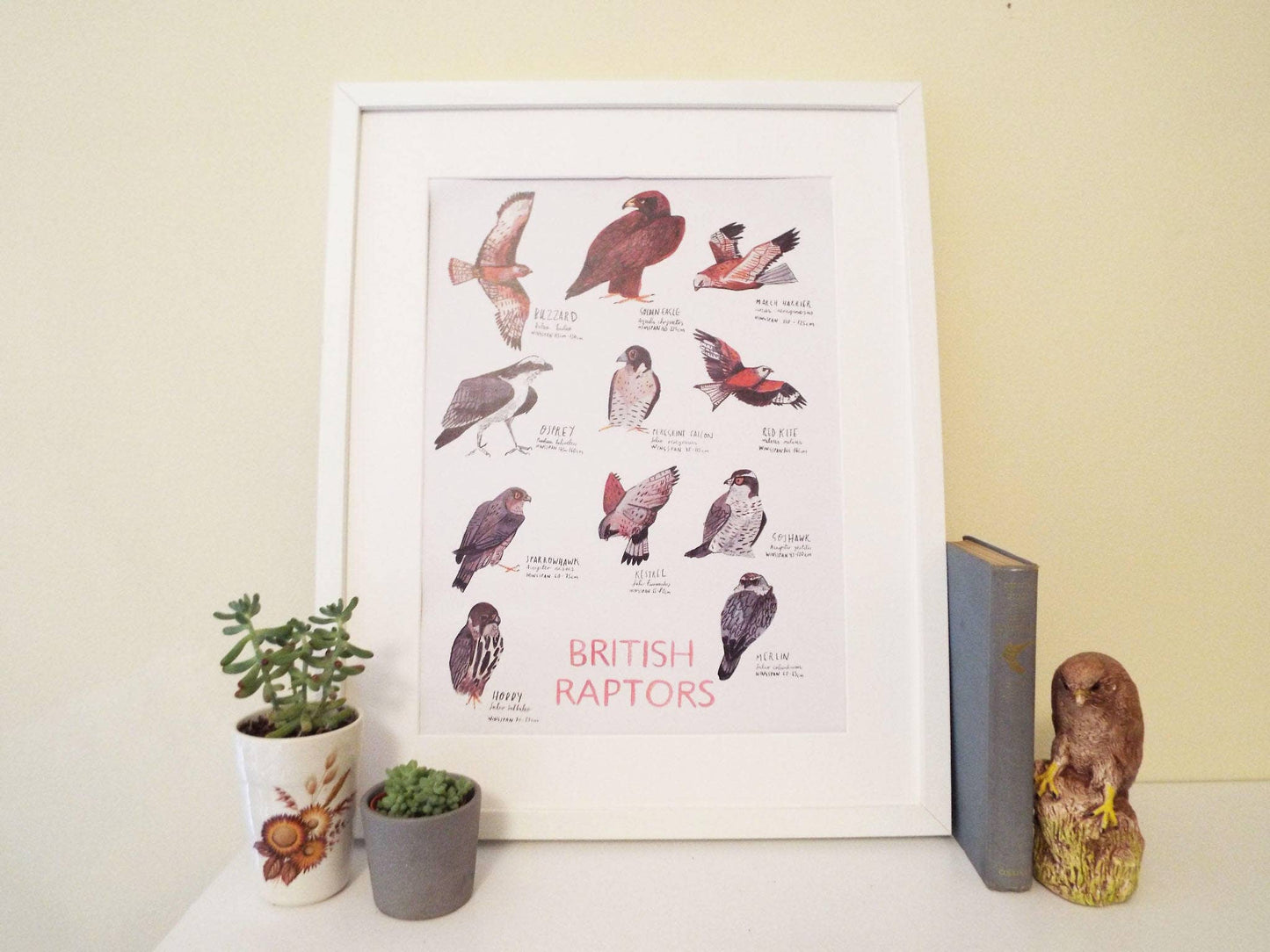 British Raptors Poster by Dick Vincent - A3 Print