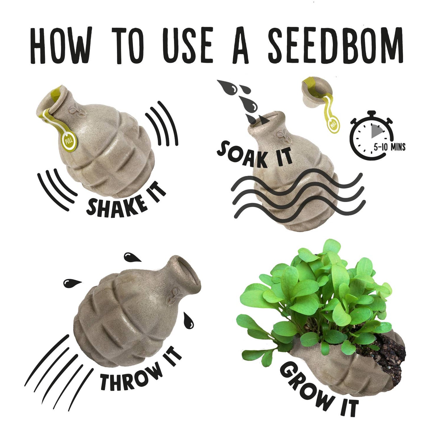 Urban Bloomer Seedbom - Wildflowers for Insects