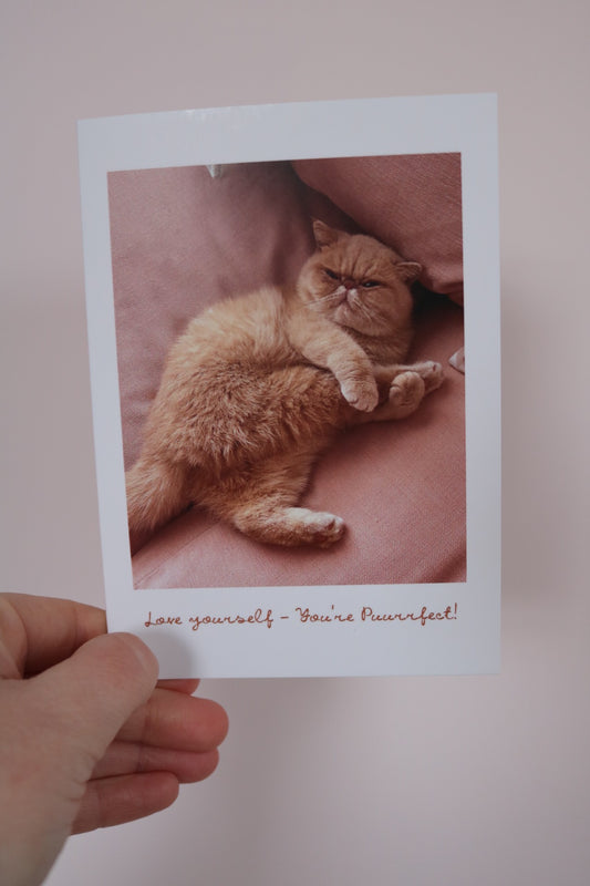 Love Yourself- You're Purrfect Cat Greeting Card