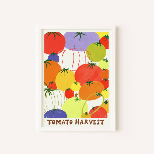 Tomato Harvest A3 Art Print