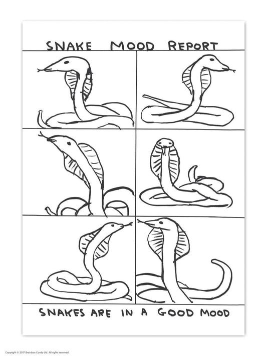 Snake Mood Report - A6 Art Postcard By David Shrigley