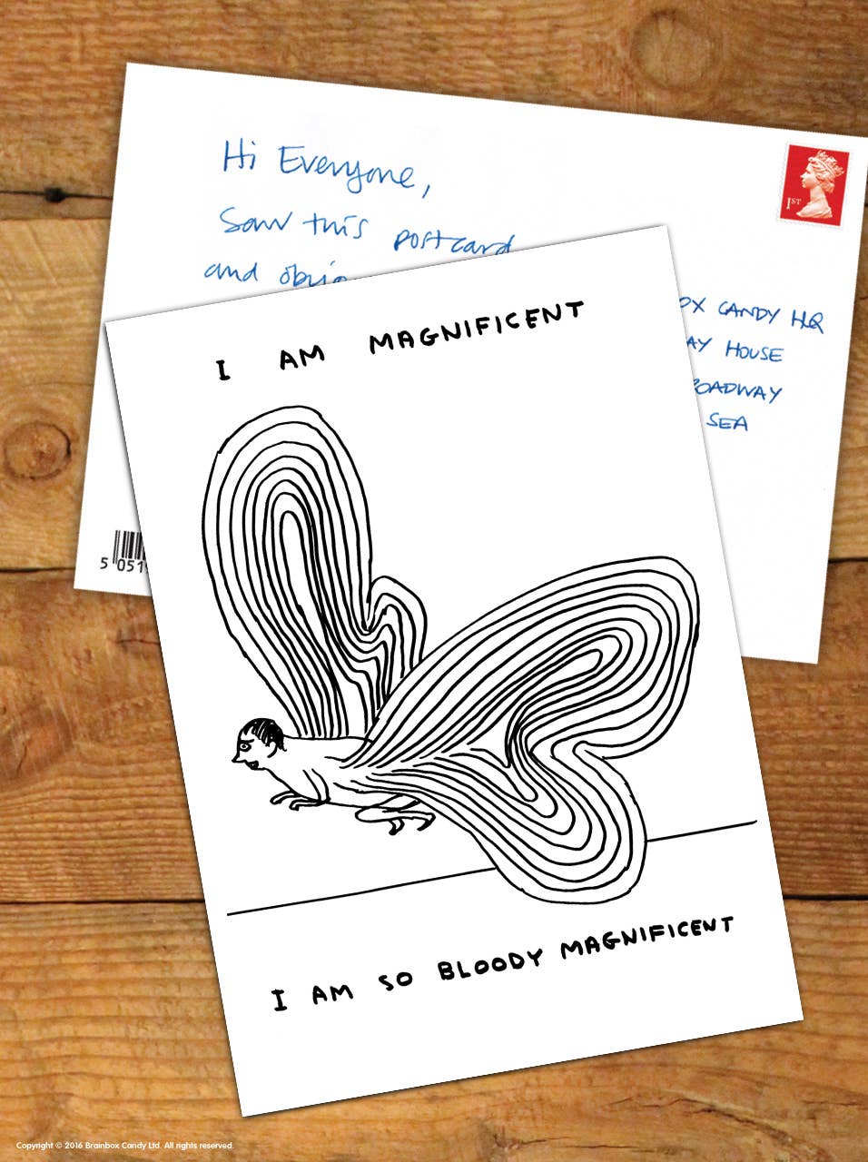 I Am Magnificent - A6 Art Postcard By David Shrigley