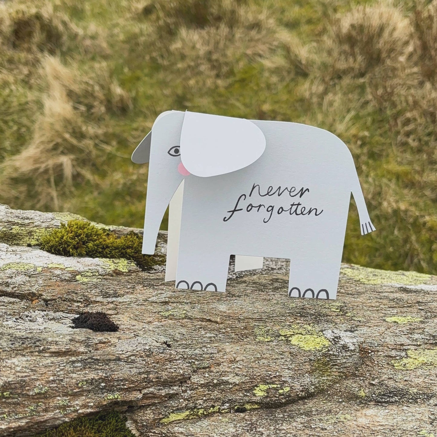 Elephant A6 Standing Luxury Eco Card - Rainbow