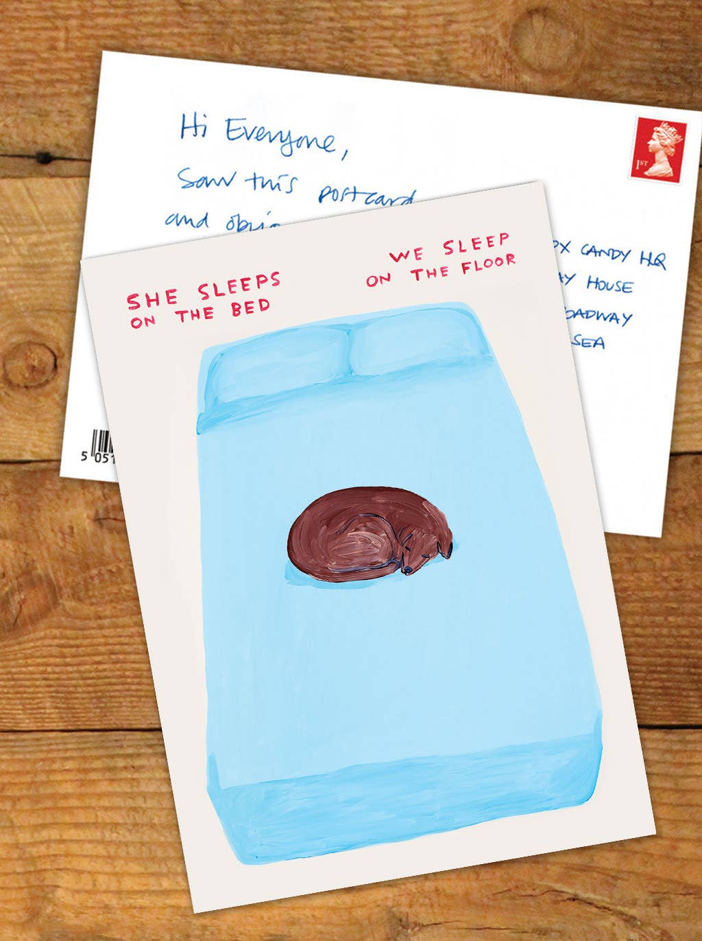 She Sleeps On The Bed - David Shrigley Postcard